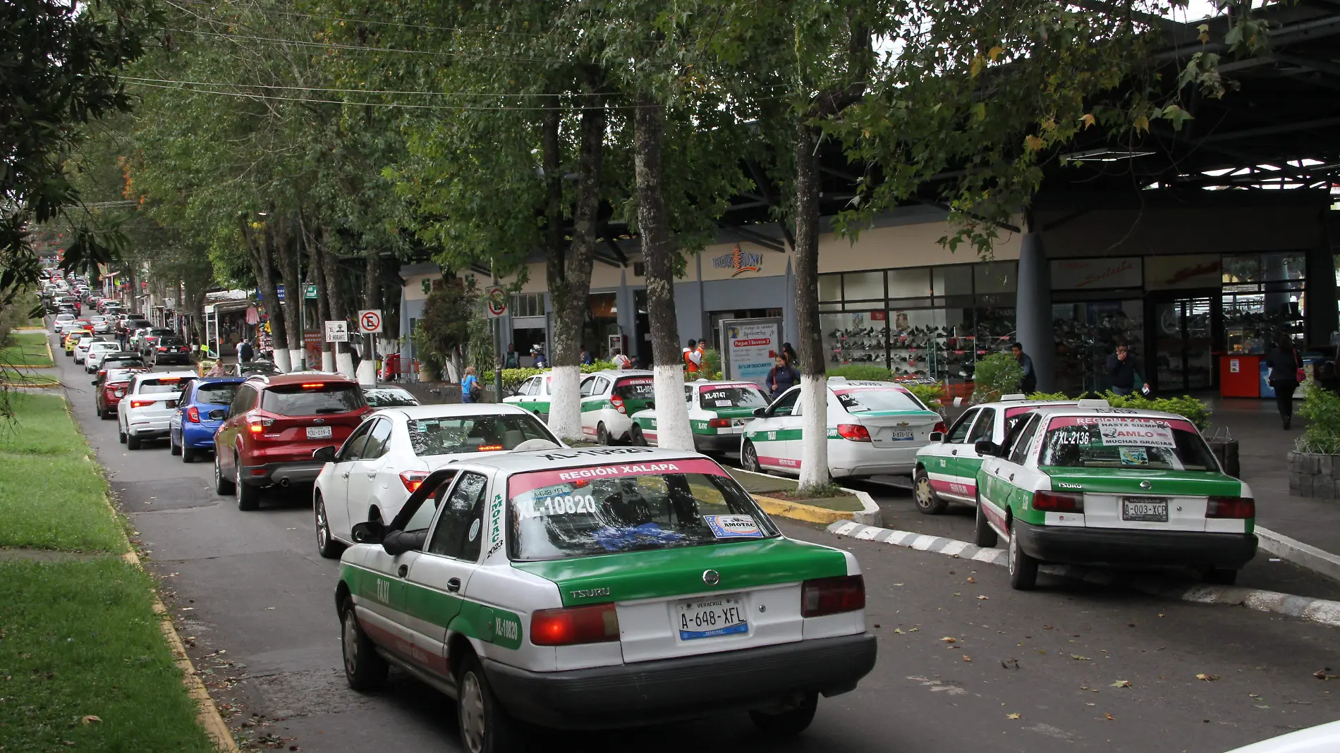 Sitio de taxis en Plaza Museo de Xalapa